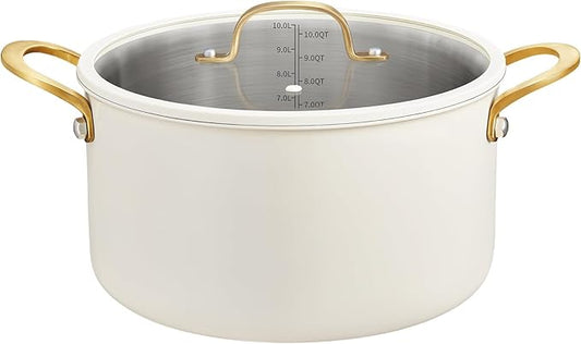 BEZIA Large Stainless Steel Stock Pot, 12 Quart Large Cooking Pot with Lid, Casserole with Lid, Even Heat Distribution, Induction Compatible Soup Pot, Ideal for Stews, Simmering & Soups